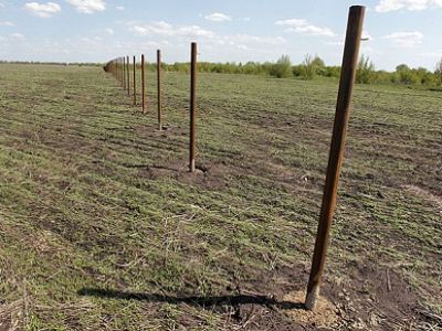 Фото из блога mnog.livejournal.com Фото из блога mnog.livejournal.com